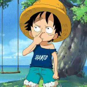 One Piece T-shirts